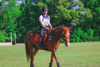 BYR_0382