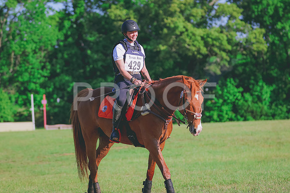 BYR_0382