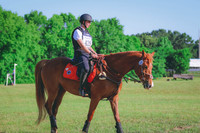 BYR_0383