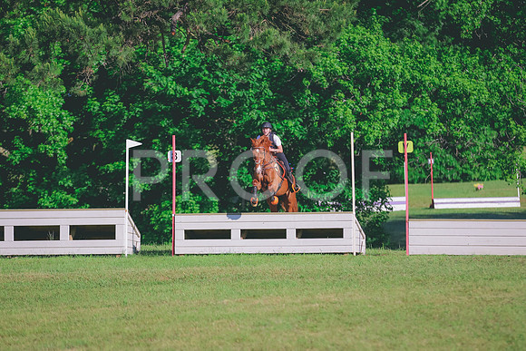 BYR_0339