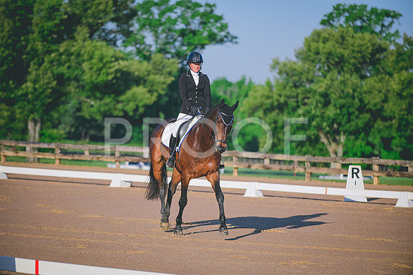 DSC_6304