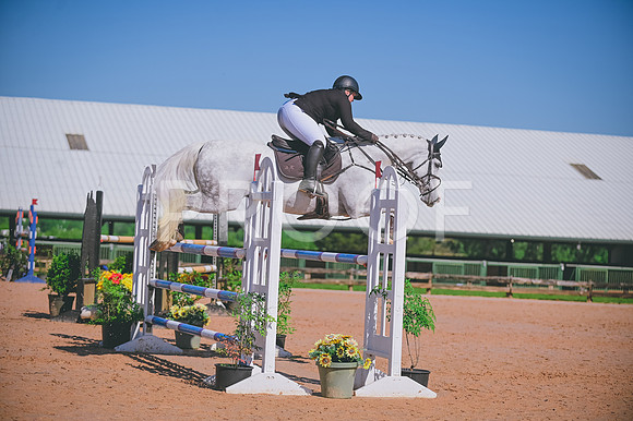 DSC_8147