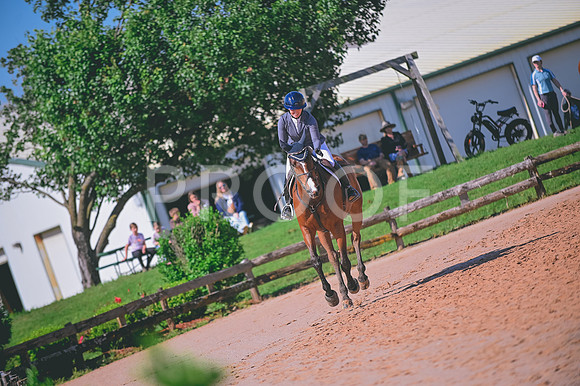 DSC_8546