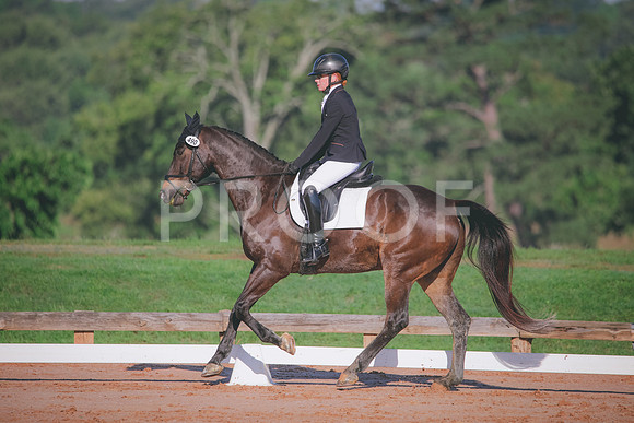RWP_6319