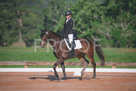 RWP_6324