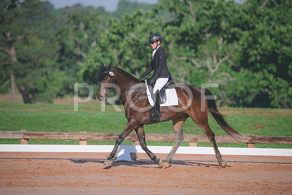 RWP_6279