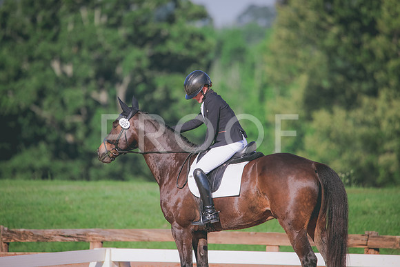 RWP_6337