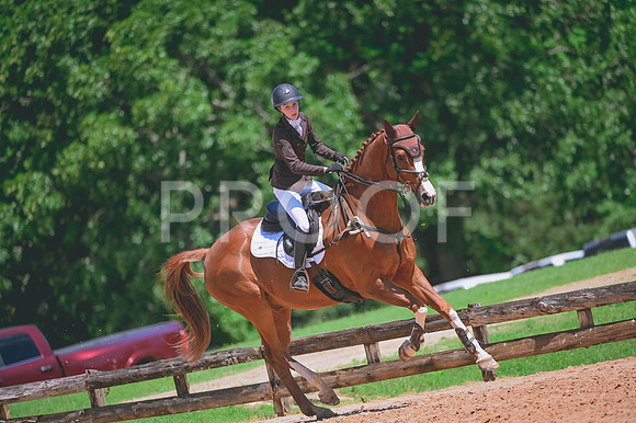 DSC_2832A