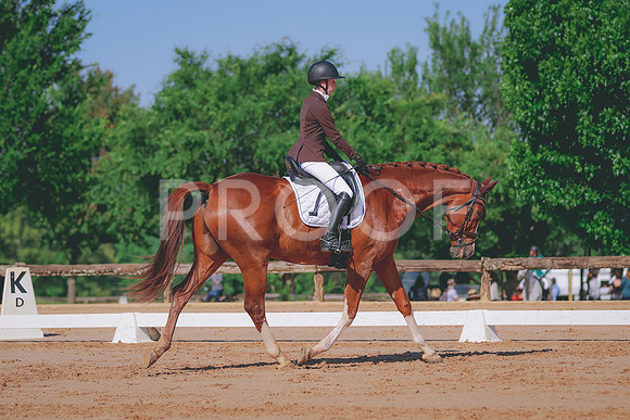 BYR_6067