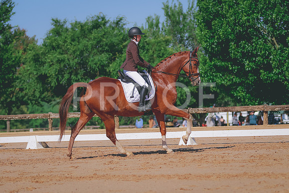 BYR_6004