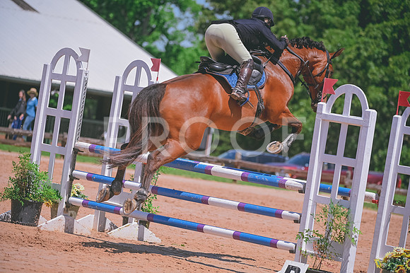DSC_3044A