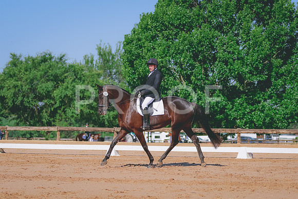 BYR_6560
