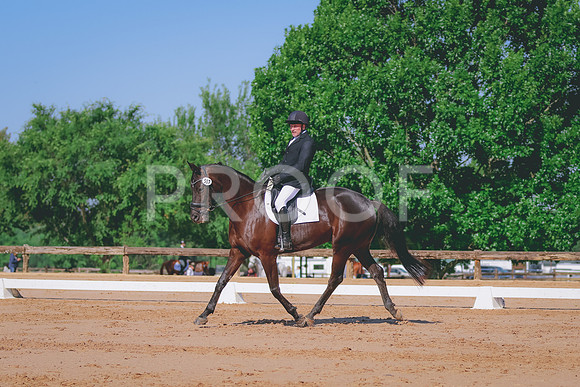 BYR_6562