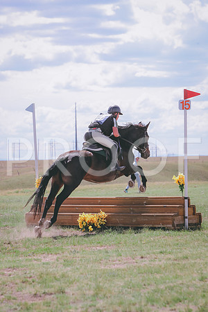 CDH_9334