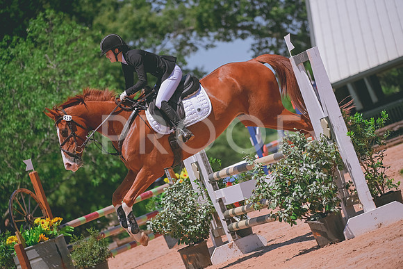 DSC_4580 copy
