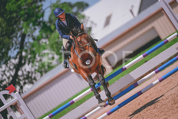 DSC_4010