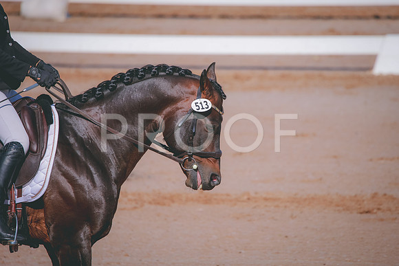 RWP_6806