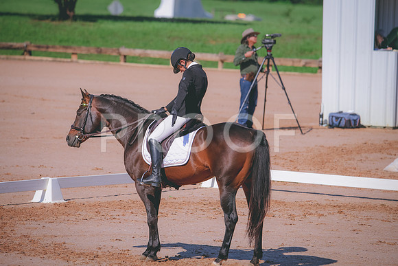 RWP_6829