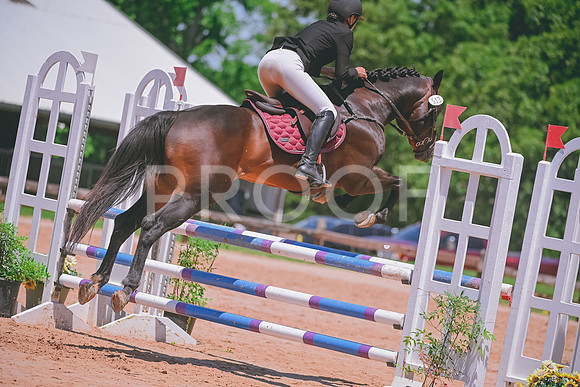 DSC_4931 copy