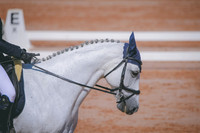 RWP_6966