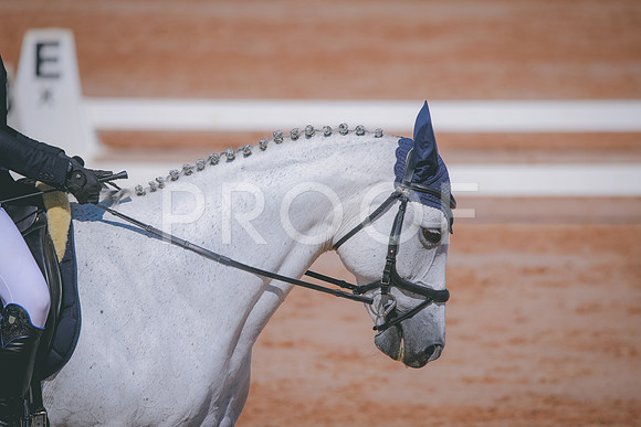 RWP_6966