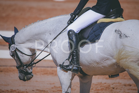 RWP_6997