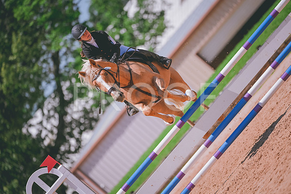 DSC_6110