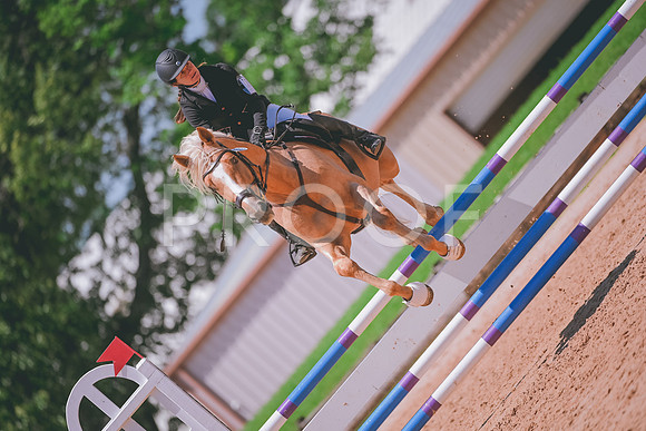 DSC_6111