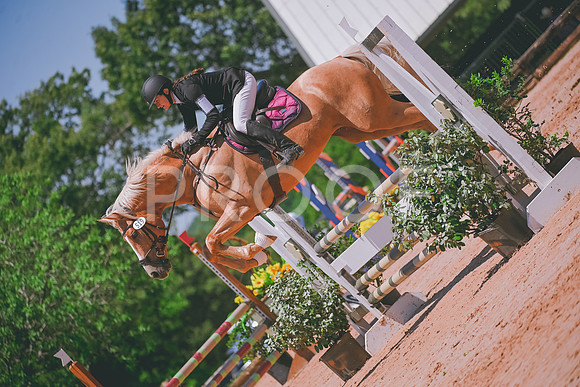 DSC_6170