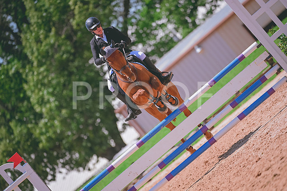 DSC_3767 copy