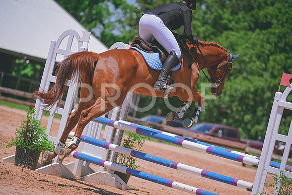 DSC_3797 copy