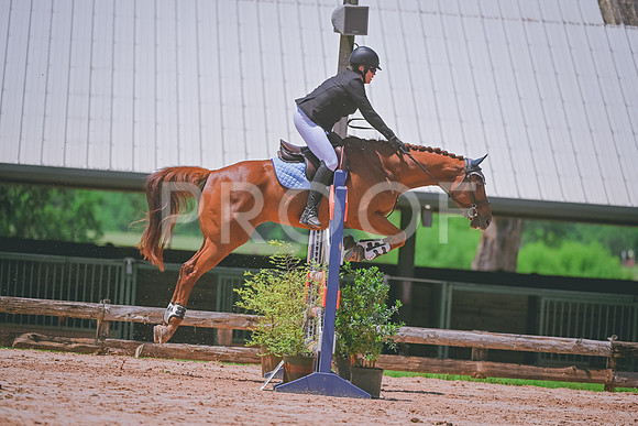 DSC_3847 copy