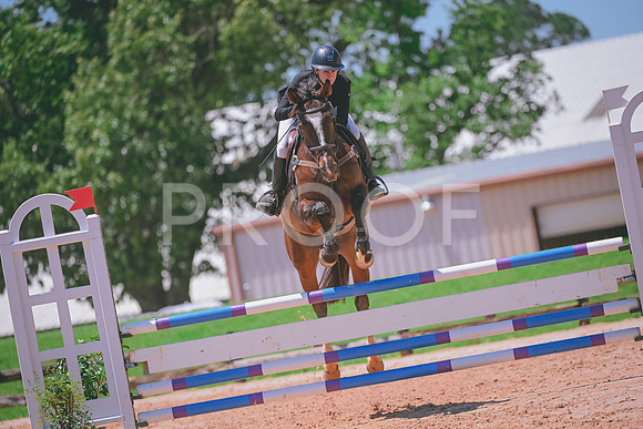 DSC_0580