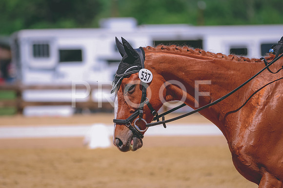 BYR_0651