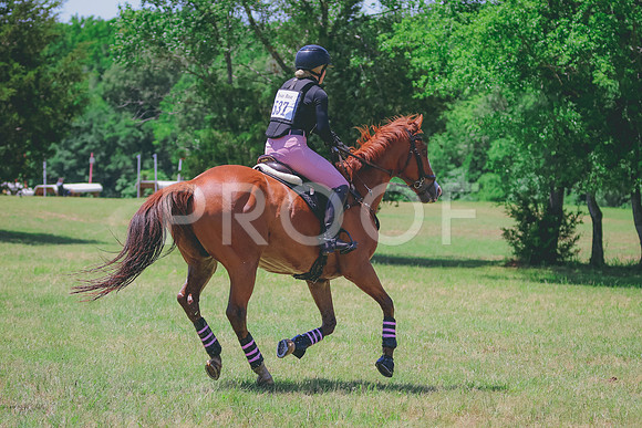BYR_0959