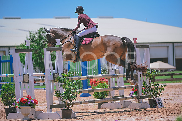 DSC_1494