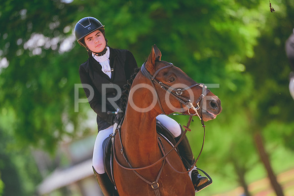 DSC_3717 copy