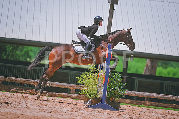 DSC_4096 copy