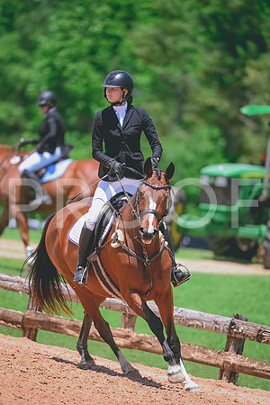 DSC_4450 copy