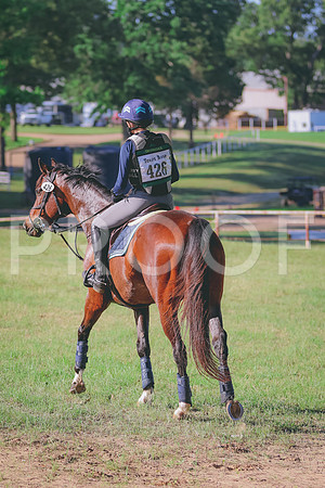 BYR_0170