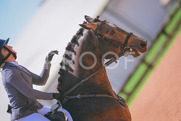 DSC_6975A