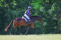 BYR_0539