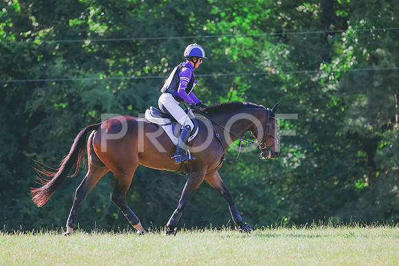 BYR_0539