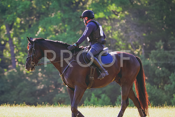 BYR_0658