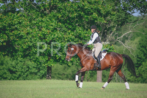 RWP_9323