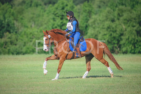 RWP_9336