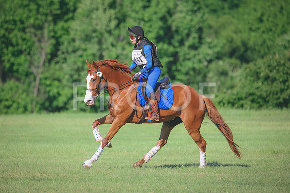 RWP_9338
