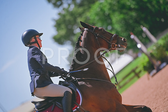 DSC_0187