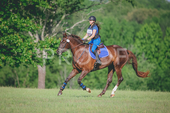 RWP_9382