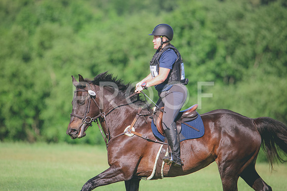 RWP_9407